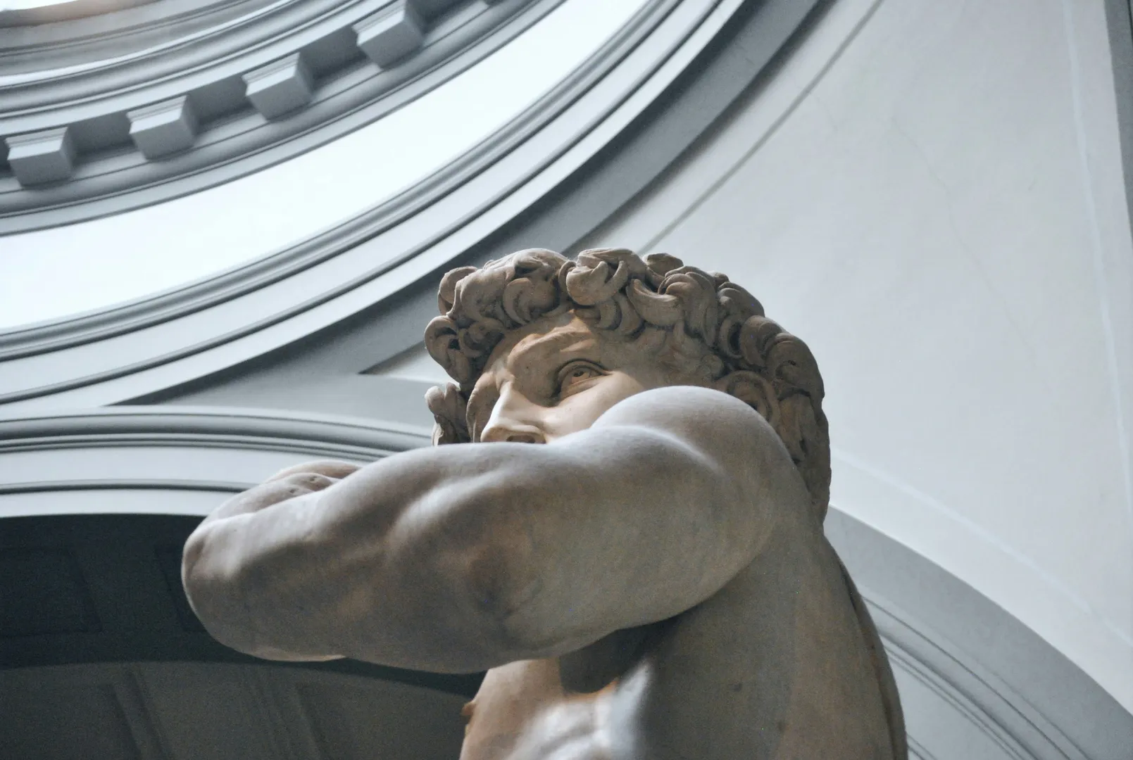 Contour Inspiration - Close Up of Michelangelo's David showing arm and head