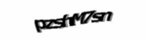 Security check image, please type the characters shown