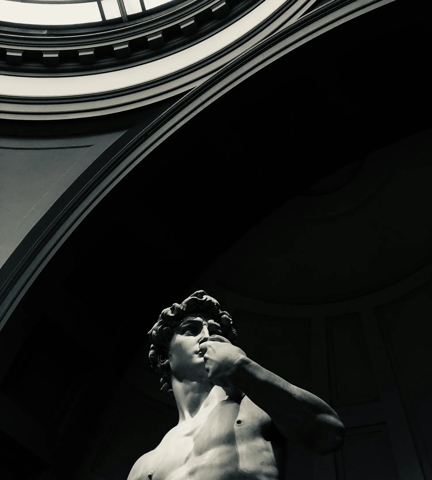 Contour Inspiration - Michelangelo's David (Torso) in black and white