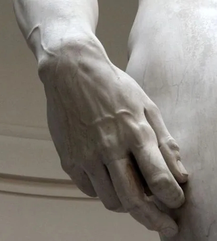 Contour Inspiration - Close Up of Michelangelo's David showing hand