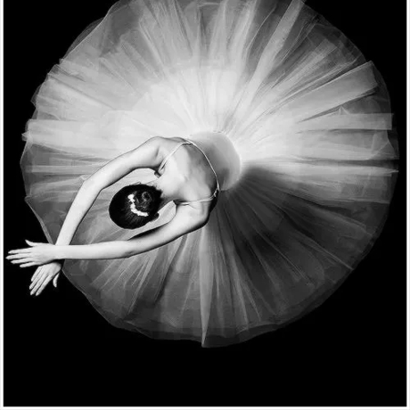 Ballerina Fonteyn Inspiration