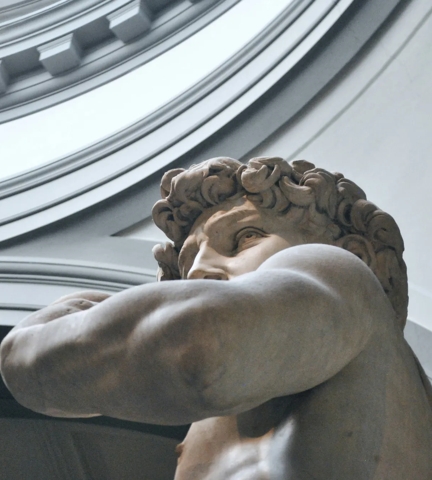Contour Inspiration - Close Up of Michelangelo's David showing arm and head