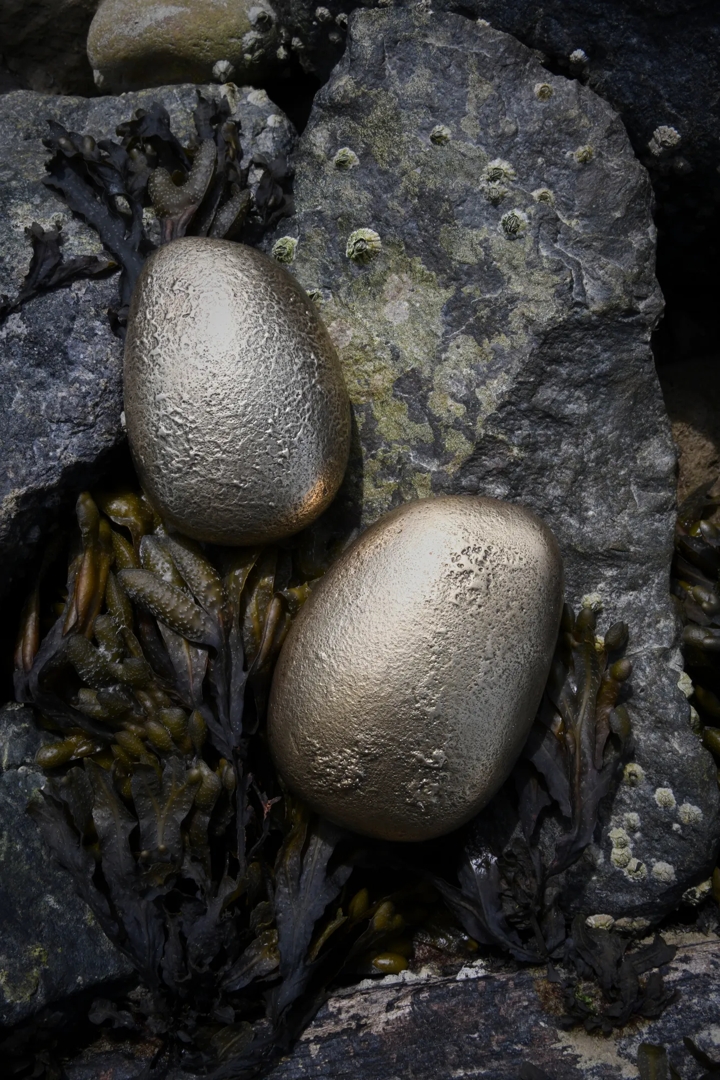 Cove at the Coast - Cabinet Handle (CH1132) in Mid Antique Brass Waxed (MABW)