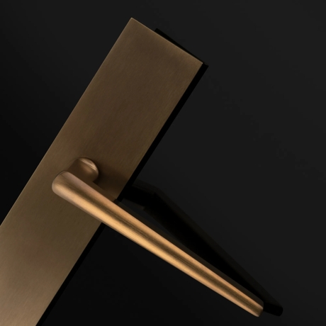 Arty Shot of Wedge Lever on Backplate (LV1214) in Mid Antique Brass Waxed - MABW