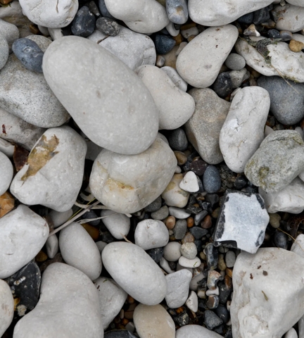Cove Inspo - Pebbles